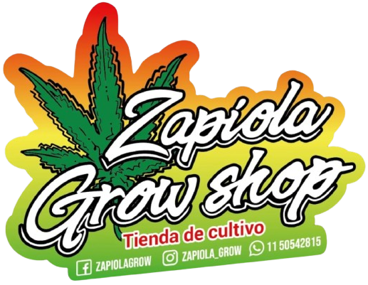 Zapiola